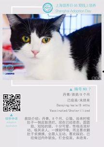 领养在线观看 第2张 领养在线观看 第2张